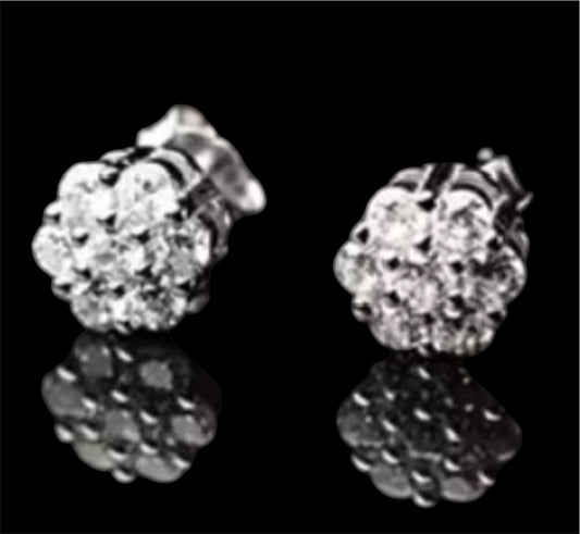 VVS Moissanite earrings